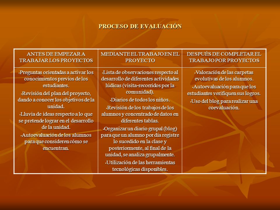 PROCESO DE EVALUACIÓN ANTES DE EMPEZAR A TRABAJAR LOS PROYECTOS