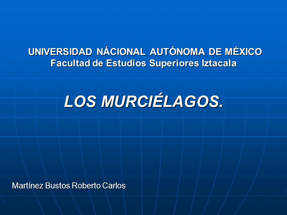 Martínez Bustos Roberto Carlos