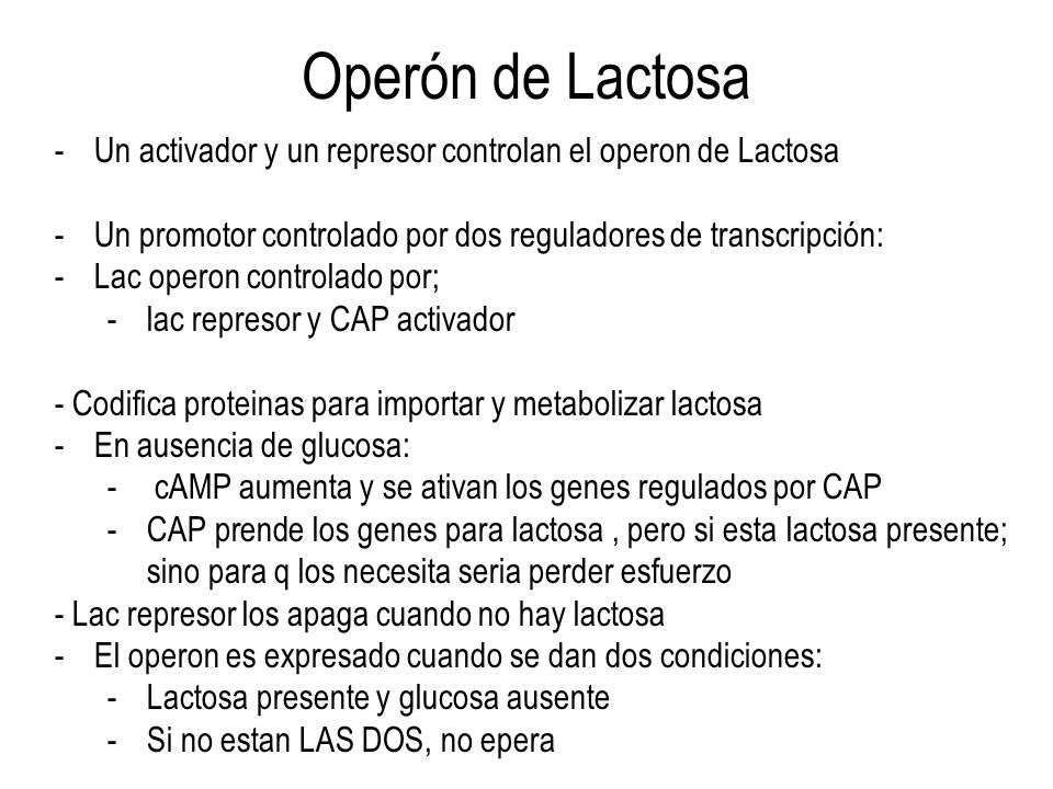 Operón de Lactosa Un activador y un represor controlan el operon de Lactosa. Un promotor controlado por dos reguladores de transcripción: