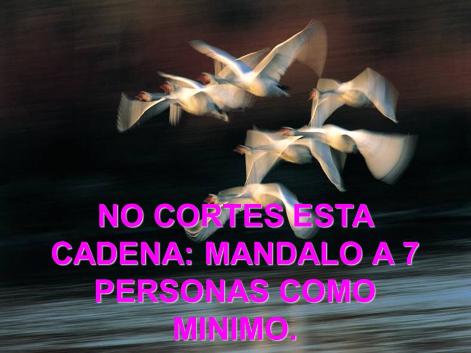NO CORTES ESTA CADENA: MANDALO A 7 PERSONAS COMO MINIMO.