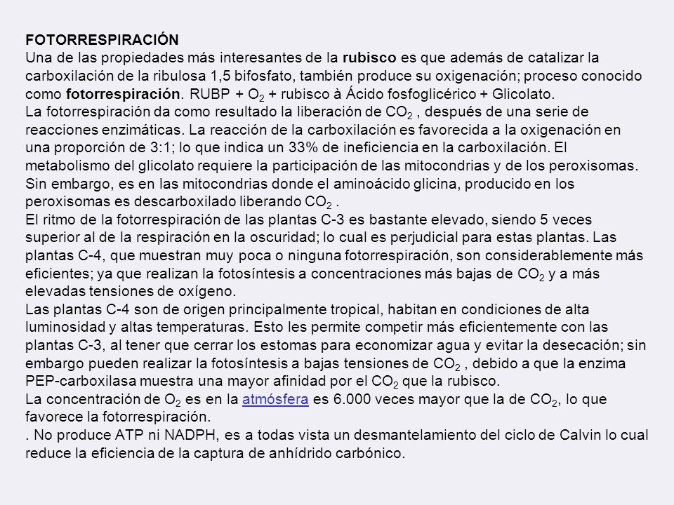 FOTORRESPIRACIÓN Una de las propiedades más interesantes de la rubisco es que además de catalizar la carboxilación de la ribulosa 1,5 bifosfato, también produce su oxigenación; proceso conocido como fotorrespiración.