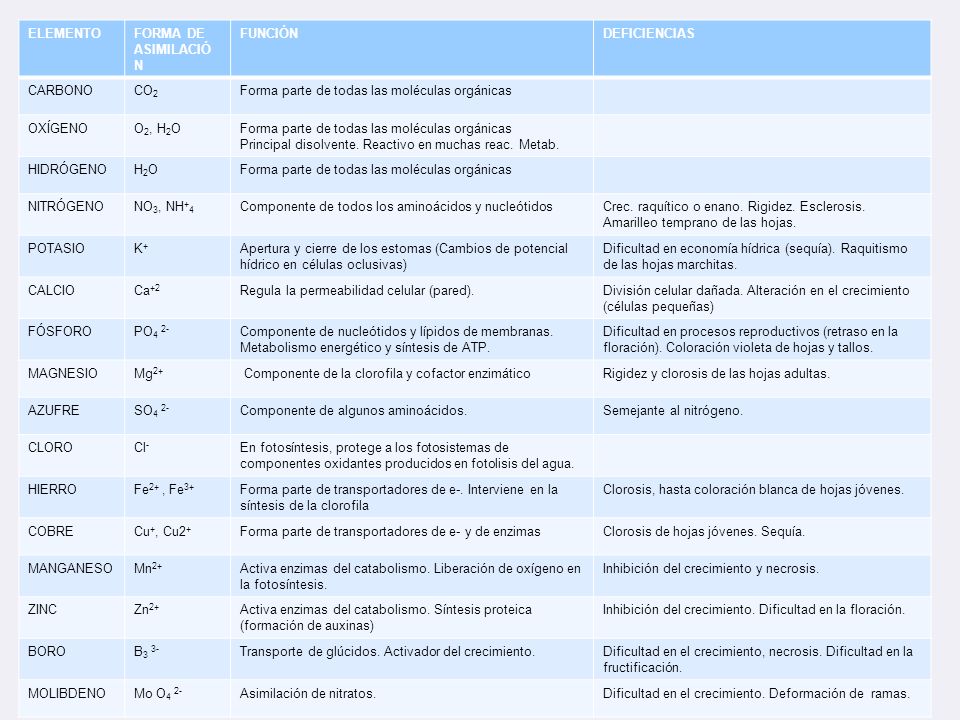 ELEMENTO FORMA DE. ASIMILACIÓN. FUNCIÓN. DEFICIENCIAS. CARBONO. CO2. Forma parte de todas las moléculas orgánicas.