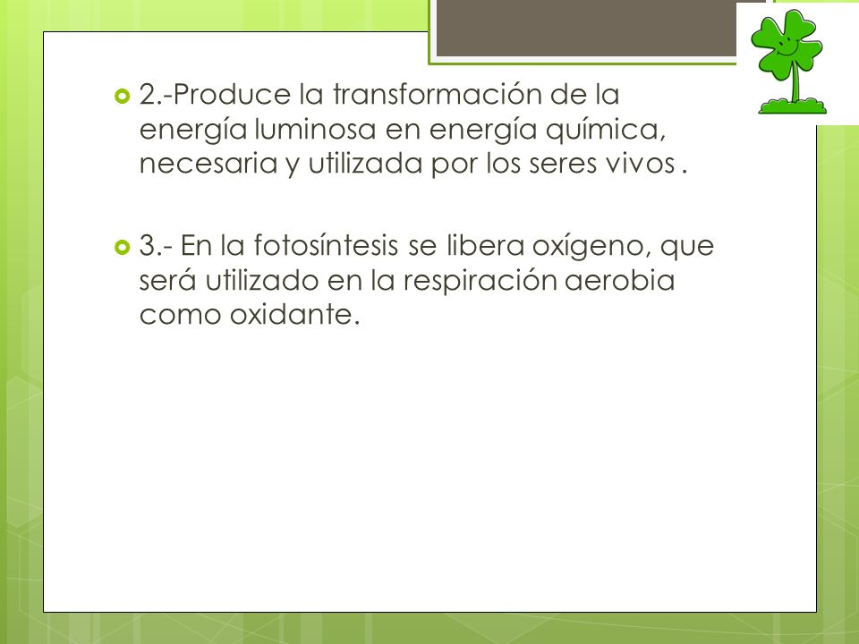 2.-Produce la transformación de la energía luminosa en energía química, necesaria y utilizada por los seres vivos .