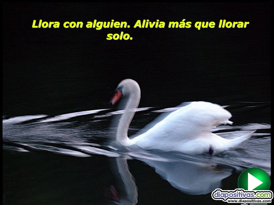 Llora con alguien. Alivia más que llorar solo.