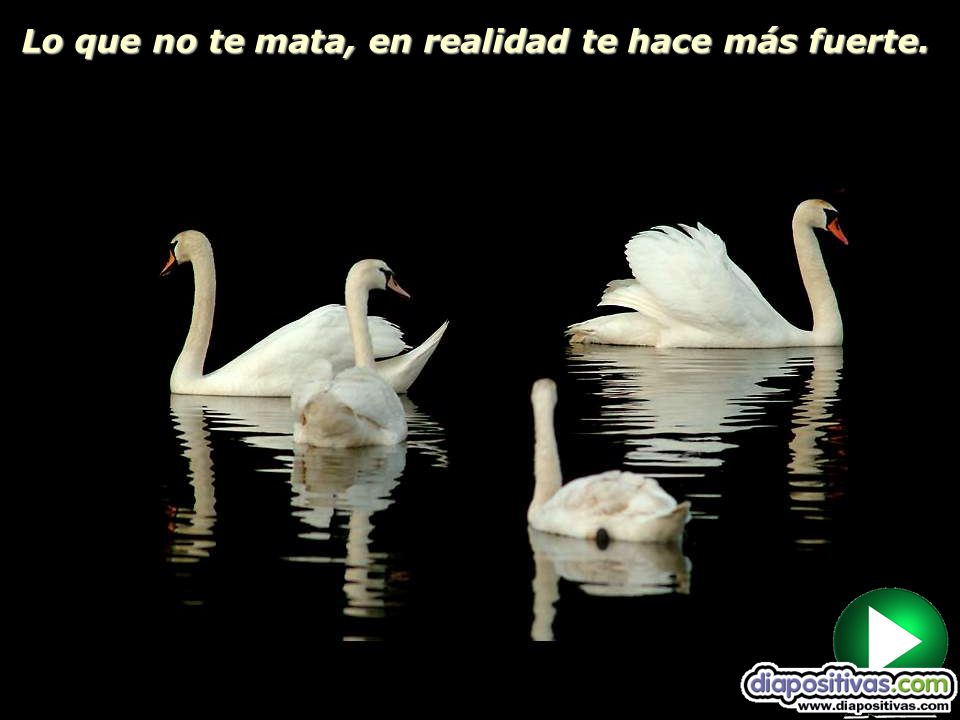 Lo que no te mata, en realidad te hace más fuerte.