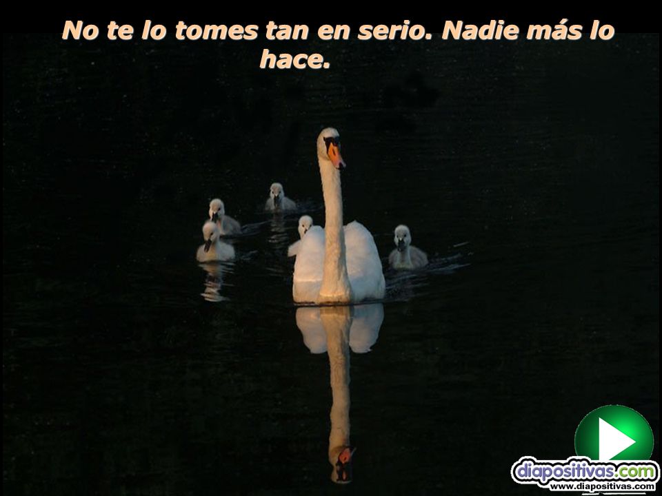 No te lo tomes tan en serio. Nadie más lo hace.