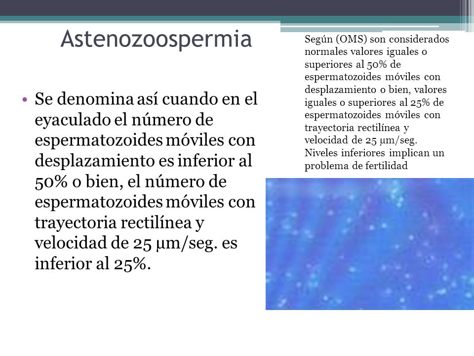 Según (OMS) son considerados normales valores iguales o superiores al 50% de espermatozoides móviles con desplazamiento o bien, valores iguales o superiores al 25% de espermatozoides móviles con trayectoria rectilínea y velocidad de 25 µm/seg. Niveles inferiores implican un problema de fertilidad