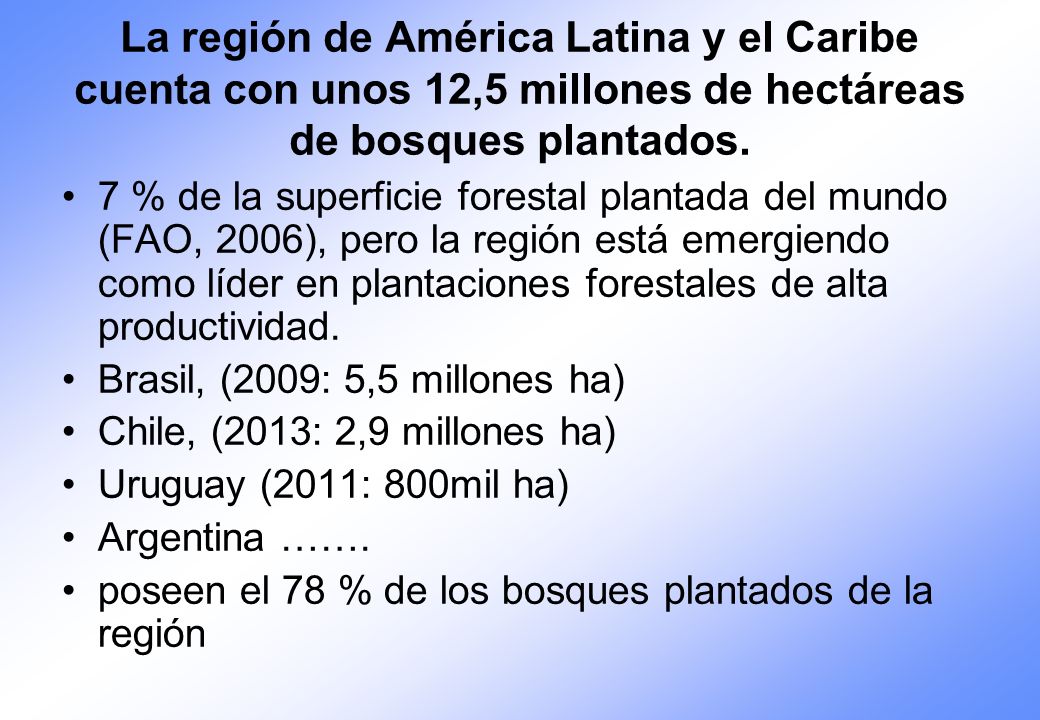 La región de América Latina y el Caribe cuenta con unos 12,5 millones de hectáreas de bosques plantados.