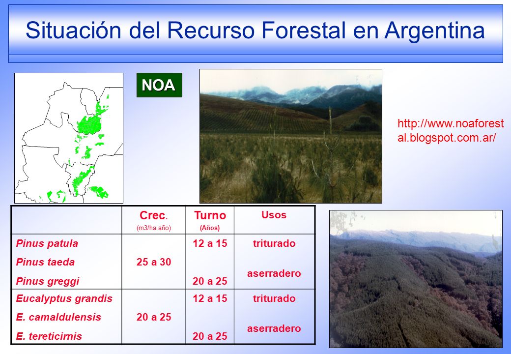 Situación forestal ARGENTINA