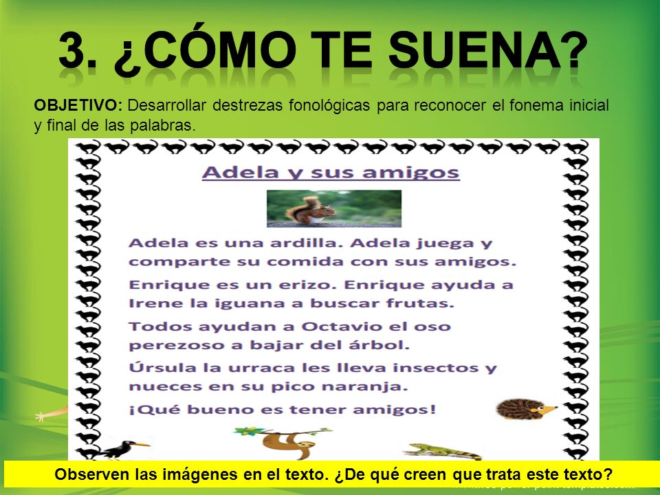 Observen las imágenes en el texto. ¿De qué creen que trata este texto