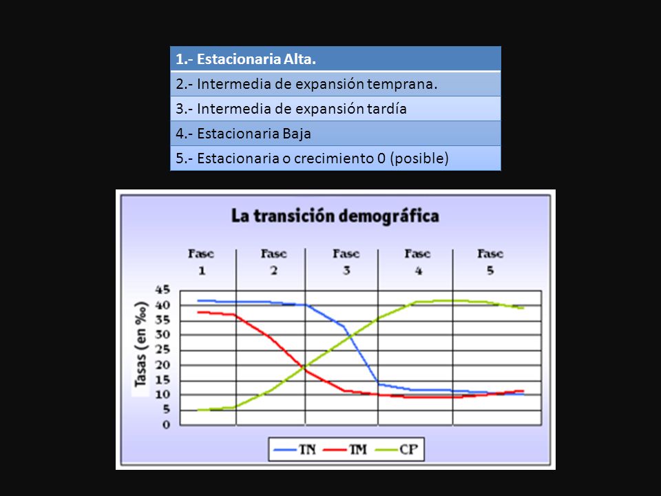 1.- Estacionaria Alta. 2.- Intermedia de expansión temprana. 3.- Intermedia de expansión tardía. 4.- Estacionaria Baja.