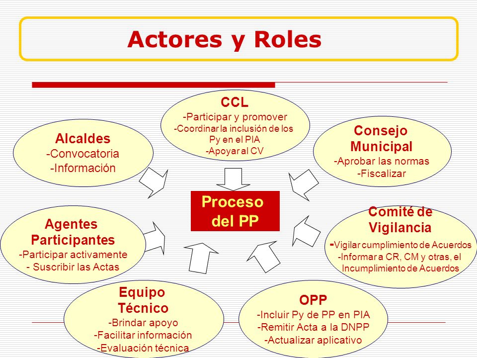Actores y Roles Proceso del PP CCL Consejo Alcaldes Municipal