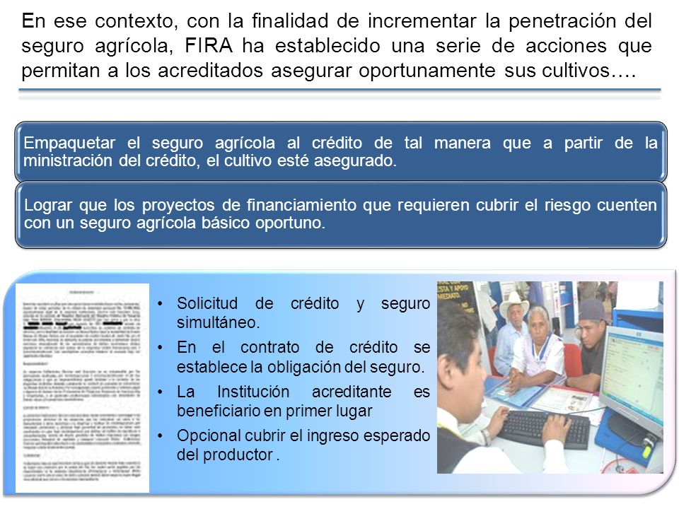 En ese contexto, con la finalidad de incrementar la penetración del seguro agrícola, FIRA ha establecido una serie de acciones que permitan a los acreditados asegurar oportunamente sus cultivos….