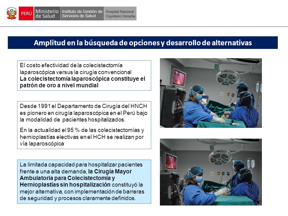 Amplitud en la búsqueda de opciones y desarrollo de alternativas