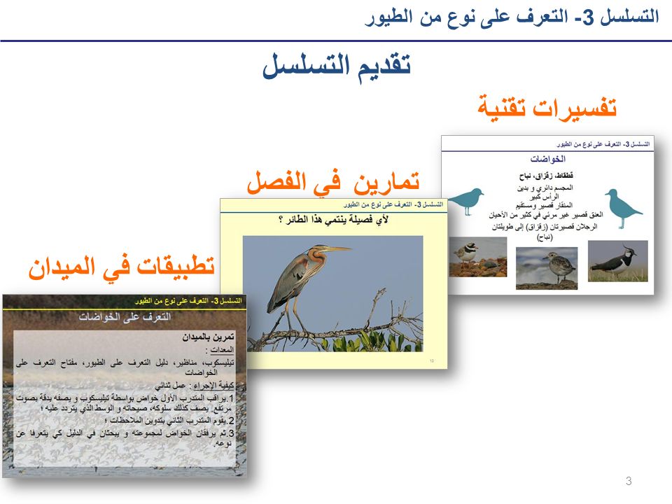 تقديم التسلسل تفسيرات تقنية في الفصل تمارين تطبيقات في الميدان