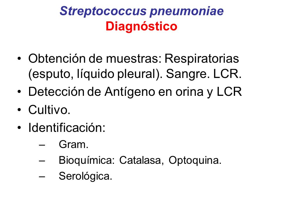 Streptococcus pneumoniae Diagnóstico