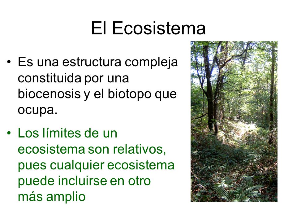 El Ecosistema Es una estructura compleja constituida por una biocenosis y el biotopo que ocupa.