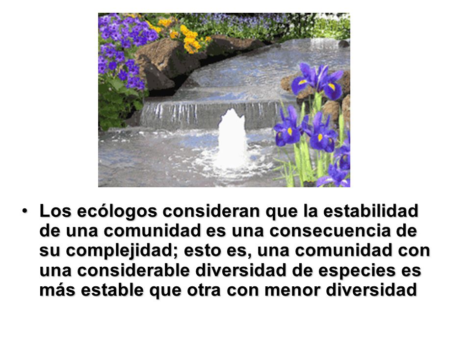 Los ecólogos consideran que la estabilidad de una comunidad es una consecuencia de su complejidad; esto es, una comunidad con una considerable diversidad de especies es más estable que otra con menor diversidad