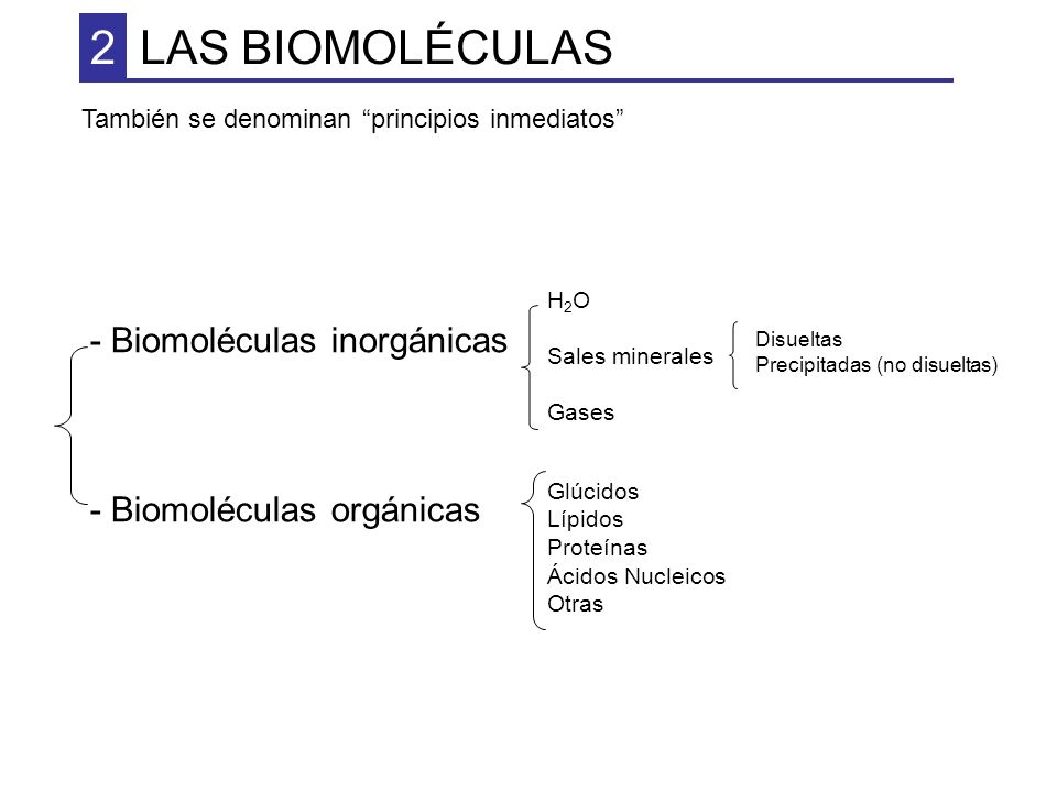 2 LAS BIOMOLÉCULAS - Biomoléculas inorgánicas - Biomoléculas orgánicas