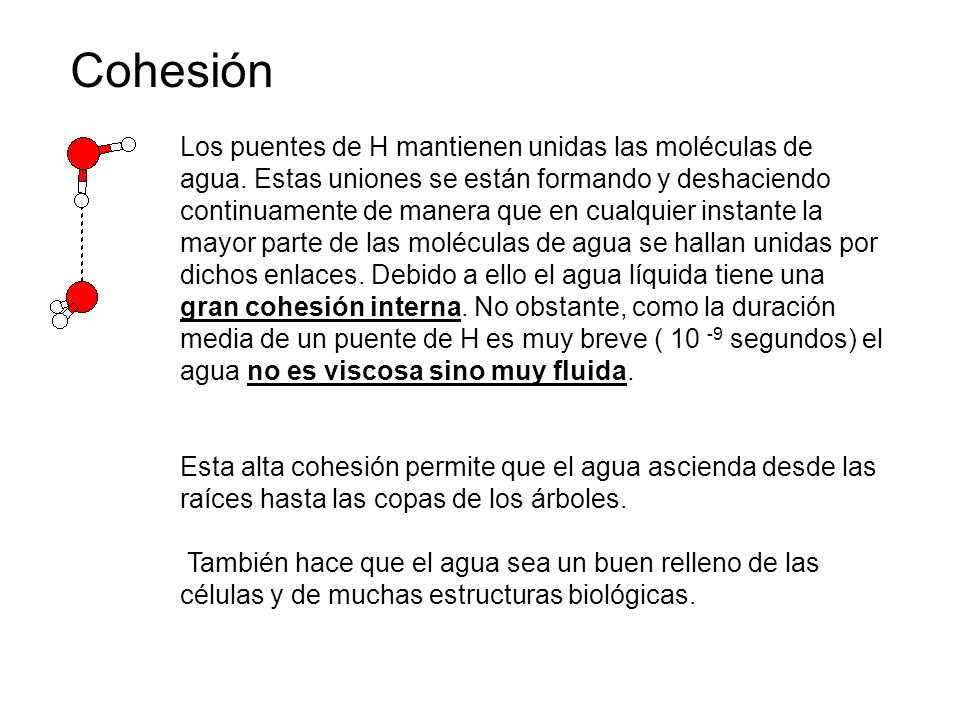 Cohesión