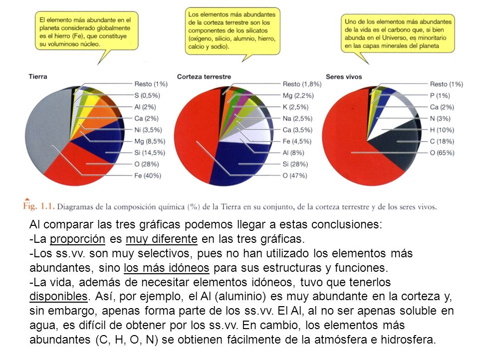 Al comparar las tres gráficas podemos llegar a estas conclusiones: