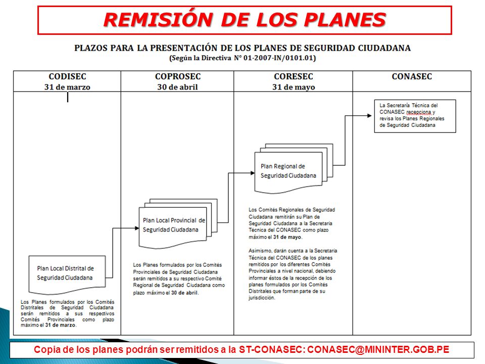 REMISIÓN DE LOS PLANES 42. Copia de los planes podrán ser remitidos a la ST-CONASEC: