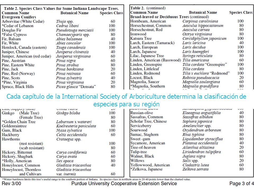 Cada capítulo de la International Society of Arboriculture determina la clasificación de especies para su región