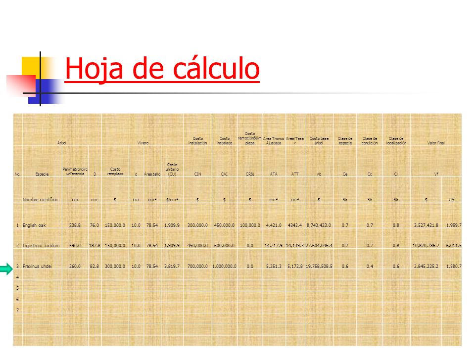Hoja de cálculo Nombre científico cm $ cm² $/cm² % US 1 English oak