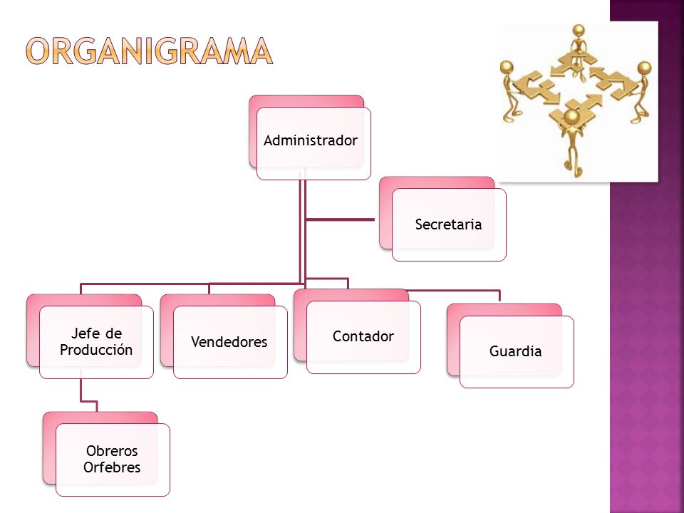 organigrama Administrador Secretaria Jefe de Producción Contador