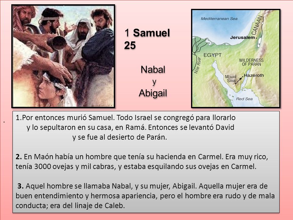. 1 Samuel 25. Nabal. y. Abigail. 1.Por entonces murió Samuel. Todo Israel se congregó para llorarlo.