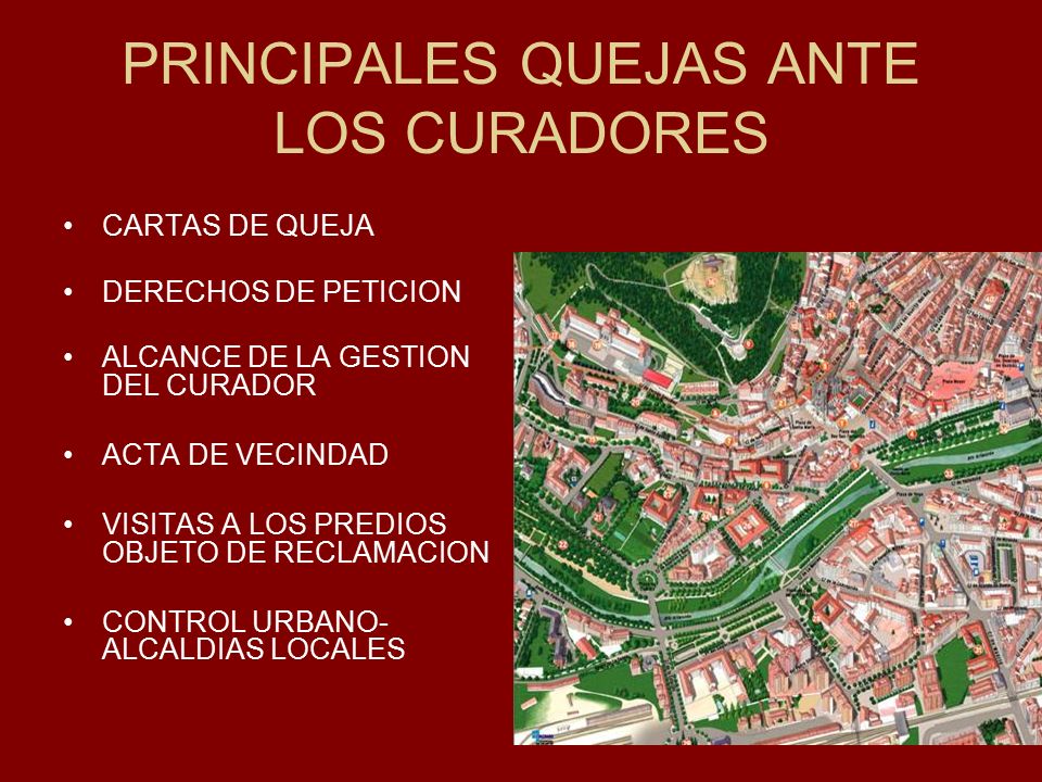 PRINCIPALES QUEJAS ANTE LOS CURADORES