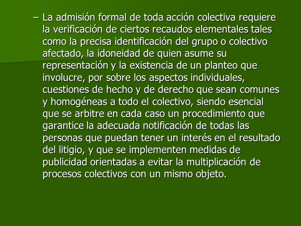 La admisión formal de toda acción colectiva requiere la verificación de ciertos recaudos elementales tales como la precisa identificación del grupo o colectivo afectado, la idoneidad de quien asume su representación y la existencia de un planteo que involucre, por sobre los aspectos individuales, cuestiones de hecho y de derecho que sean comunes y homogéneas a todo el colectivo, siendo esencial que se arbitre en cada caso un procedimiento que garantice la adecuada notificación de todas las personas que puedan tener un interés en el resultado del litigio, y que se implementen medidas de publicidad orientadas a evitar la multiplicación de procesos colectivos con un mismo objeto.