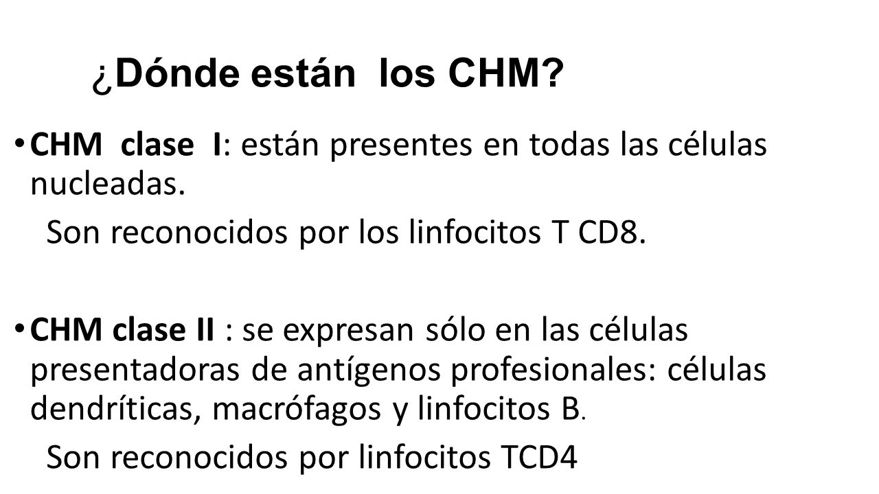 ¿Dónde están los CHM CHM clase I: están presentes en todas las células nucleadas. Son reconocidos por los linfocitos T CD8.
