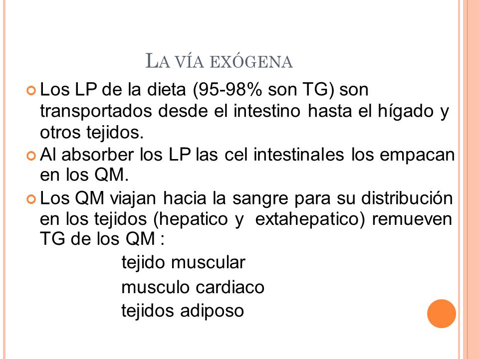 LA VÍA EXÓGENA transportados desde el intestino hasta el hígado y