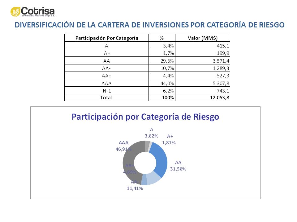 DIVERSIFICACIÓN DE LA CARTERA DE INVERSIONES POR CATEGORÍA DE RIESGO