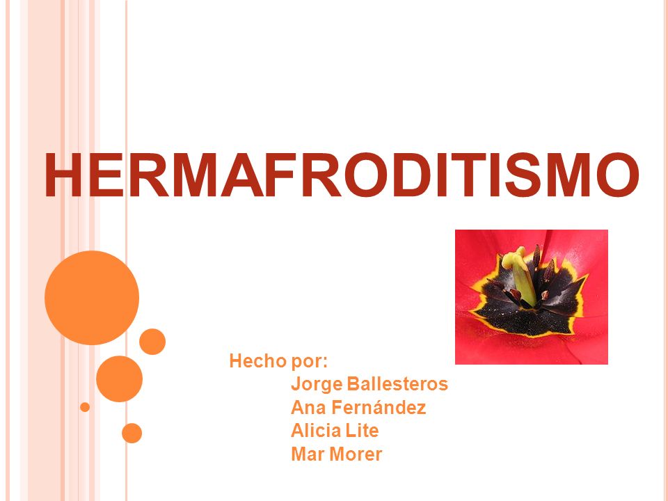 Hecho por: Jorge Ballesteros Ana Fernández Alicia Lite Mar Morer