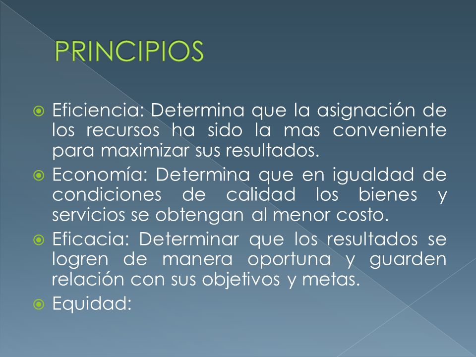 PRINCIPIOS Eficiencia: Determina que la asignación de los recursos ha sido la mas conveniente para maximizar sus resultados.