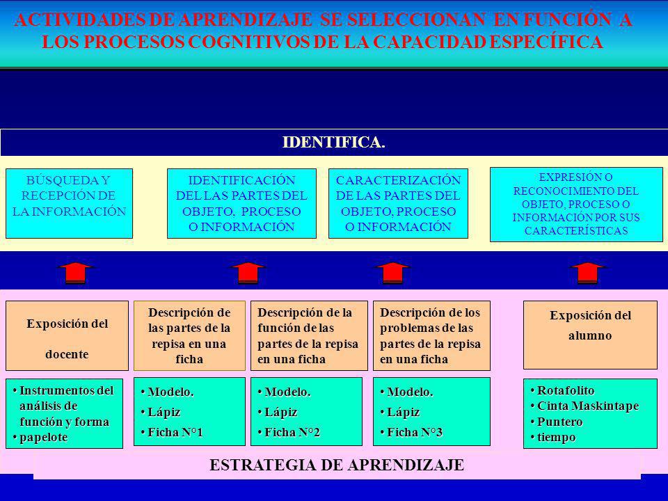 ACTIVIDADES DE APRENDIZAJE SE SELECCIONAN EN FUNCIÓN A LOS PROCESOS COGNITIVOS DE LA CAPACIDAD ESPECÍFICA