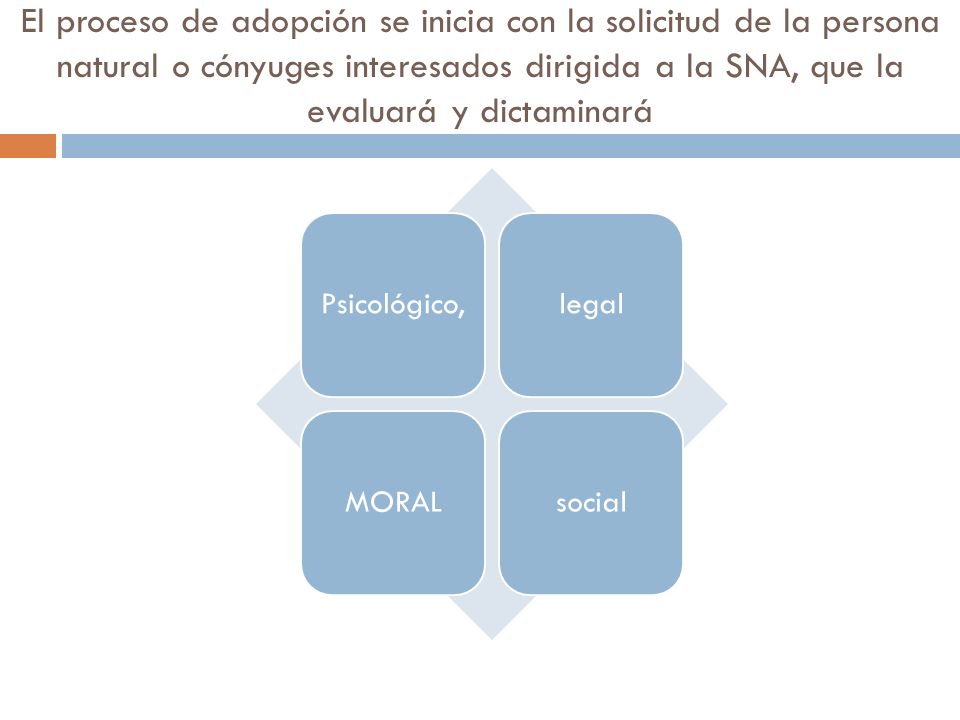 El proceso de adopción se inicia con la solicitud de la persona natural o cónyuges interesados dirigida a la SNA, que la evaluará y dictaminará
