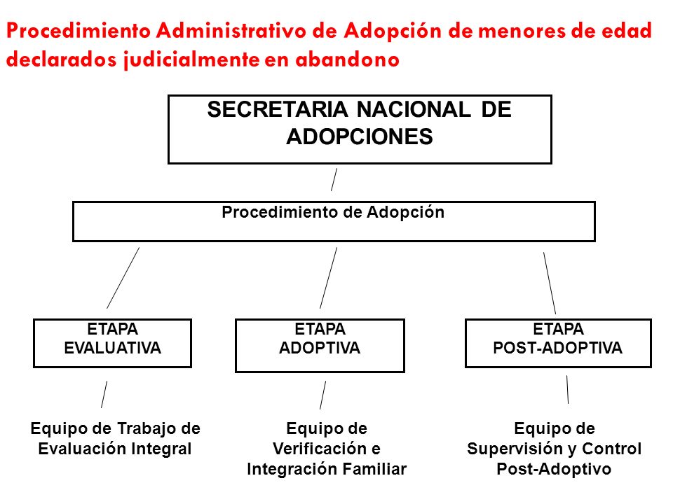 Procedimiento Administrativo de Adopción de menores de edad declarados judicialmente en abandono