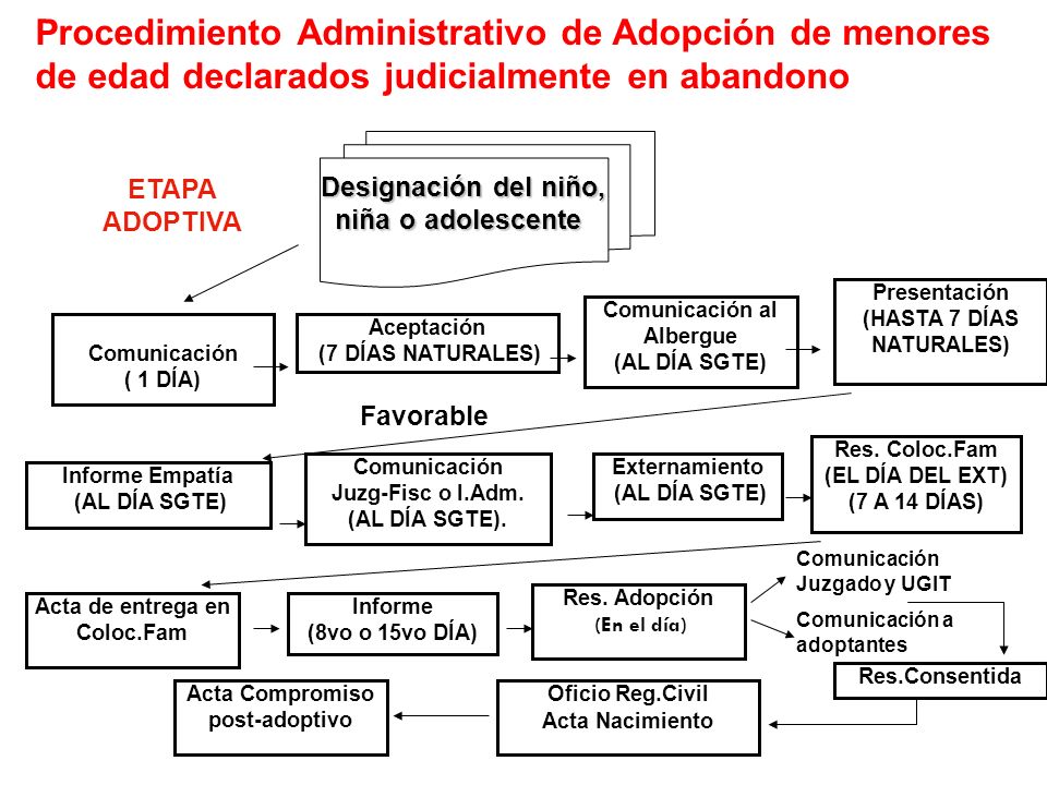 Procedimiento Administrativo de Adopción de menores de edad declarados judicialmente en abandono
