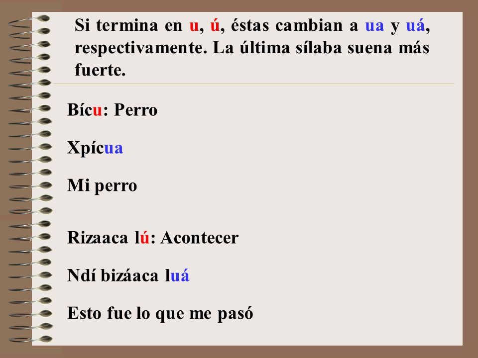 Si termina en u, ú, éstas cambian a ua y uá, respectivamente