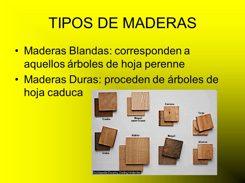 TIPOS DE MADERAS Maderas Blandas: corresponden a aquellos árboles de hoja perenne.