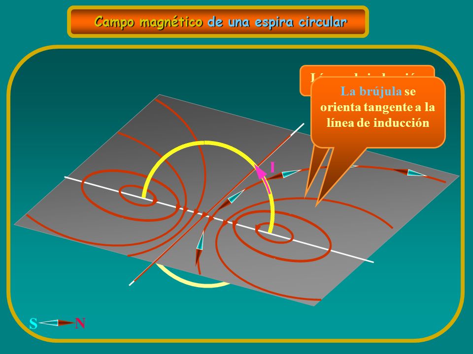 I N S Campo magnético de una espira circular Líneas de inducción
