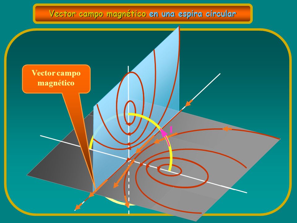 Vector campo magnético en una espira circular Vector campo magnético
