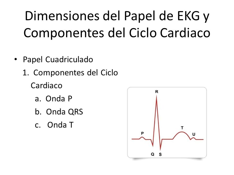 Dimensiones del Papel de EKG y Componentes del Ciclo Cardiaco