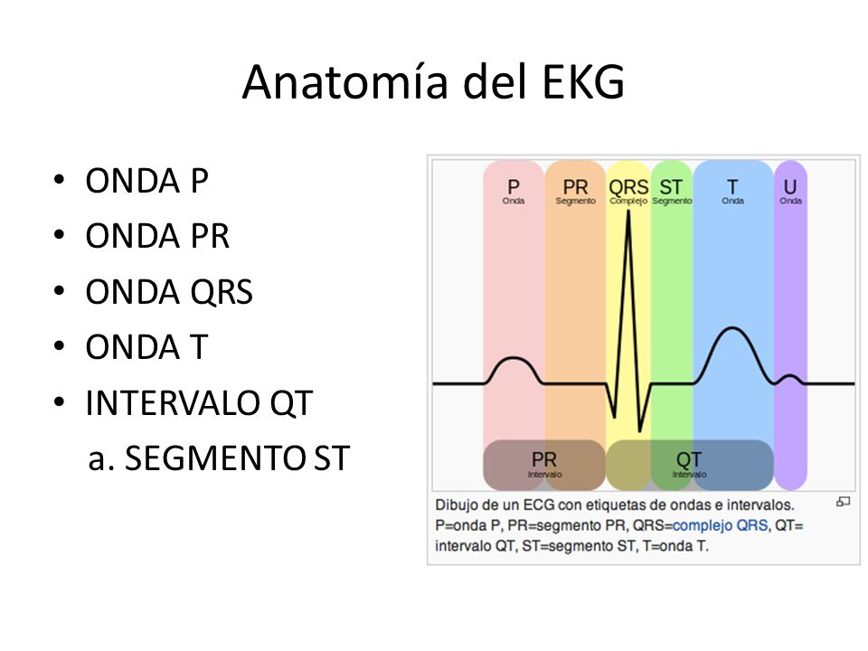 Anatomía del EKG ONDA P ONDA PR ONDA QRS ONDA T INTERVALO QT