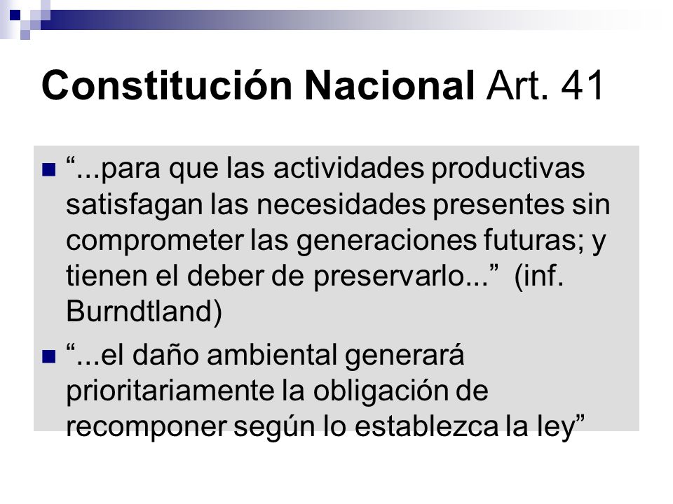 Constitución Nacional Art. 41