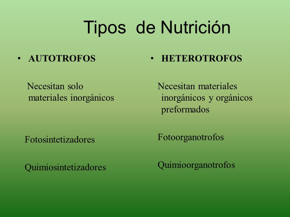 Tipos de Nutrición AUTOTROFOS Necesitan solo materiales inorgánicos