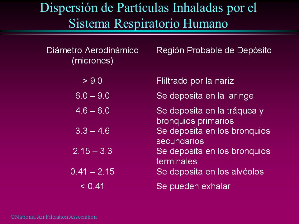 Dispersión de Partículas Inhaladas por el Sistema Respiratorio Humano